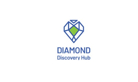 Diamond Discovery Hub logo