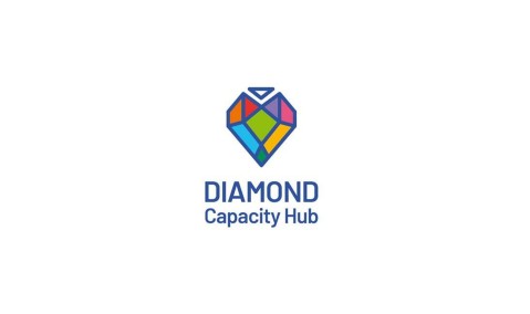 Diamond Capacity Hub logo