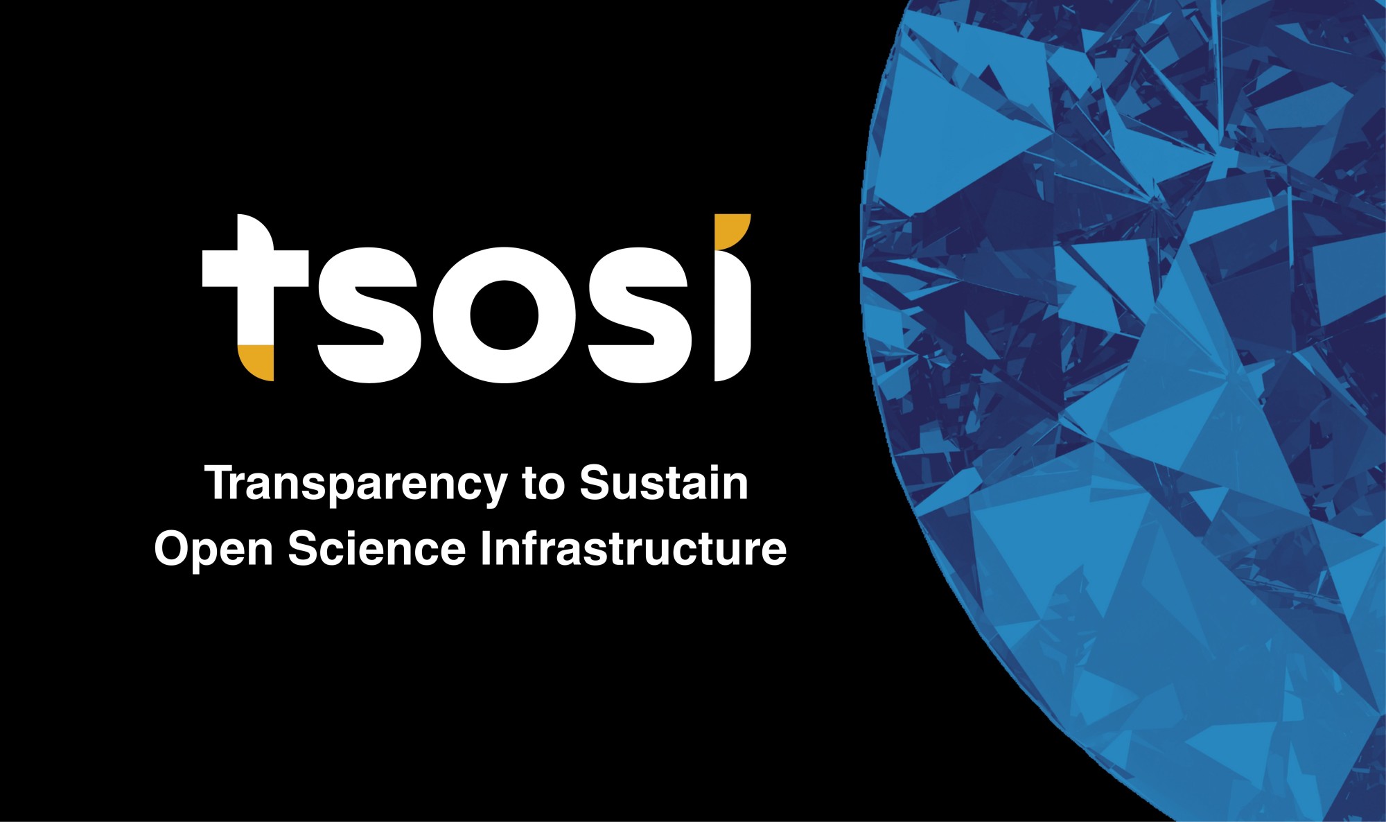 Transparency to Sustain Open Science Infrastructure (TSOSI) | Open Access